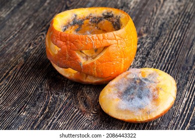 Pumpkin For Halloween Celebration Covered With Mold, Scary And Ugly Rotting Pumpkin Made As A Halloween Lamp