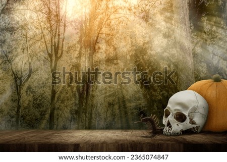 Pumpkin and a human head skull on the wooden floor with the haunted forest background. Cute Halloween Wallpaper concept