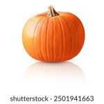 Pumpkin isolated on white. Pumpkin isolated on white background with shadow and reflection