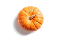 Pumpkin Isolated On White Background. Orange Organic Pumpkin, Design Element.