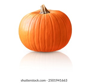 Pumpkin isolated on white. Pumpkin isolated on white background with shadow and reflection - Powered by Shutterstock