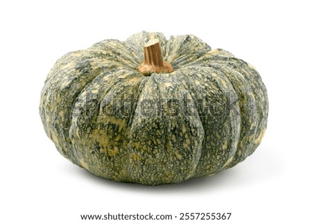 Pumpkin isolated on white background. Clipping path.