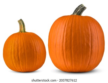 Pumpkin Large and Small. Pumpkins good for Autumn still life, season composition. Concept for Thanksgiving or Halloween. Pumpkin Super macro close up. High resolution photo. White isolated background. - Powered by Shutterstock