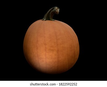 Pumpkin Lighten By Dramatic Studio Light Isolated On Black Background