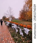 A pumpkin lined walkway decorated with cobwebs for Halloween amidst the foliage on the campus of Bryant University.