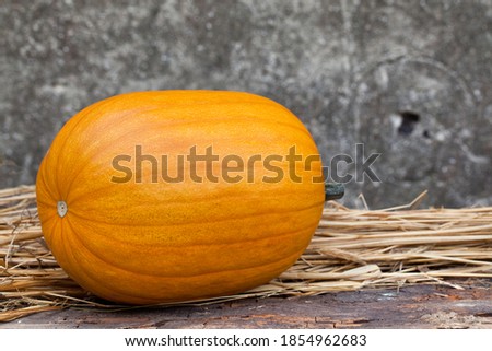 Pumpkin lying on straw, in the background a wall with gray, old plaster, arrangement.