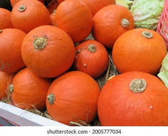 Pumpkin Nutritious Orange Vegetable, And A Highly Nutrient Dense Food