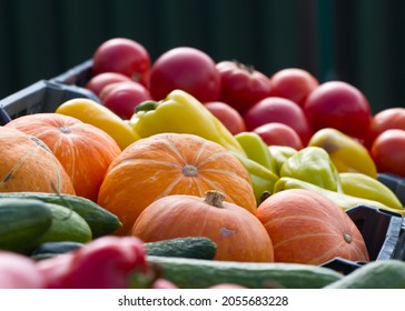 Pumpkin On The Market Stall. Close-up. On The Market Counter There Are Boxes Of Vegetables (cucumbers, Pumpkins, Peppers, Tomatoes). The Focus Is On A Box With Small Decorative Pumpkins.