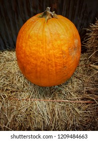 Pumpkin On Straw In Style Flim Grain Noise Effect For Halloween Holiday