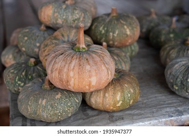 Pumpkin on table after harvest 