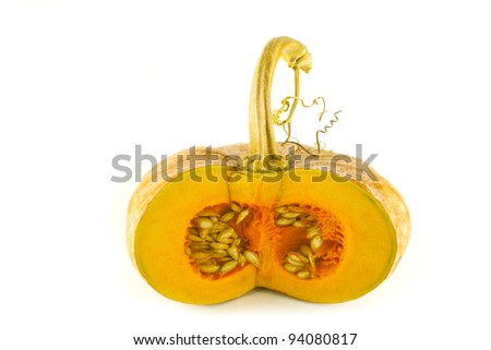 Pumpkin on white background