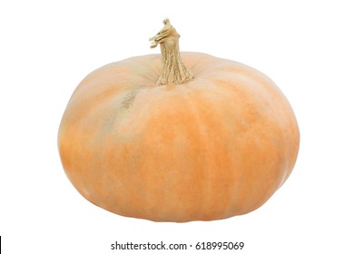 pumpkin over white background