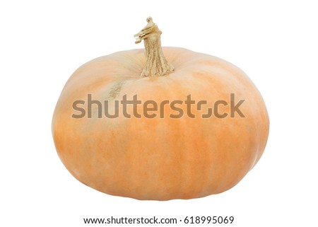 pumpkin over white background