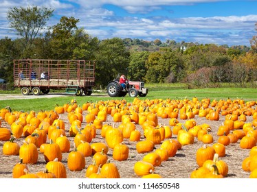 Pumpkin Patch Field On A Farm In The Fall With Hayride