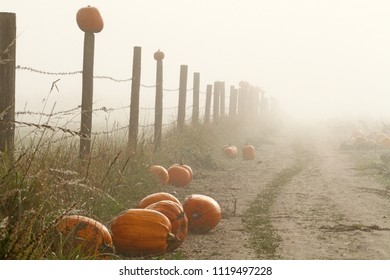 Fog Patches Images Stock Photos Vectors Shutterstock