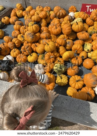 Pumpkin patch pumpkin picking with toddler autumn fall