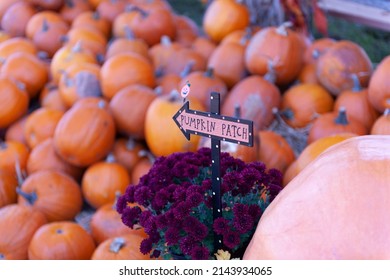 Pumpkin Patch Sign Pointing Toward The Pumpkin Patch