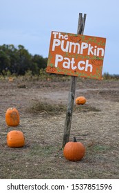 2,388 Pumpkin patch sign Images, Stock Photos & Vectors | Shutterstock