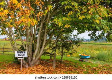 Pumpkin Patch Sign Wheelbarrow Autumn Foliage