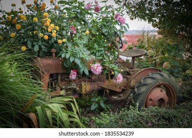 Pumpkin Patch In Snohomish County