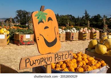 Pumpkin Patch Wooden Sign Decoration 