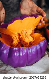 Pumpkin Pulp To See The Texture