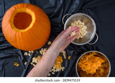 Pumpkin Seed Harvesting, Woman’s Hands Sorting Seeds And Pumpkin Guts
