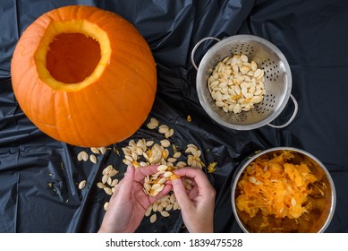 Pumpkin Seed Harvesting, Woman’s Hands Sorting Seeds And Pumpkin Guts
