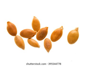 Pumpkin Seeds Isolated On White Background