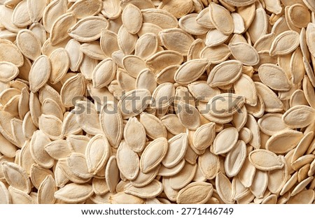 Pumpkin seeds in a shell full frame. Top view