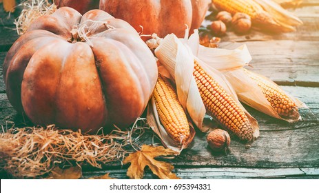 Pumpkin, Squash. Happy Thanksgiving Day Background. Autumn Thanksgiving Pumpkins Over Wooden Background, Still-life. Beautiful Holiday Autumn Festival Concept Scene Fall, Harvest