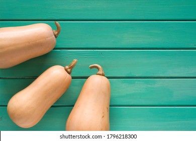 Pumpkin squashes on emerald background with copy space.