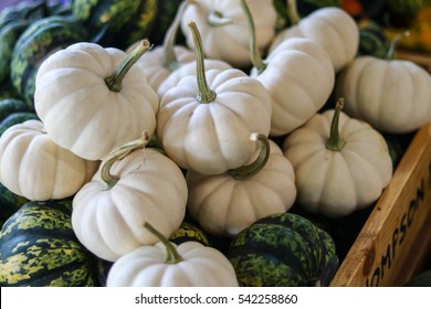 Pumpkin, White Pumpkin, Green Pumpkin