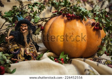 pumpkin witch halloween foliage berries hawthorn czech russian