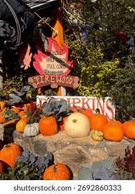 #PumpkinPatch #PumpkinSpiceEverything #JackOLantern #PumpkinObsessed #PumpkinDecor #FallDecor #CozyHome #HarvestDecor #RusticFall #FallInspiration
#HelloFall #FallVibes #AutumnVibes #CozySeason 