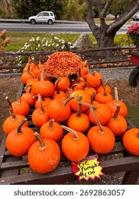 #PumpkinPatch #PumpkinSpiceEverything #JackOLantern #PumpkinObsessed #PumpkinDecor #FallDecor #CozyHome #HarvestDecor #RusticFall #FallInspiration
#PumpkinSpiceLatte #FallBaking #AutumnEats #CozyDrink