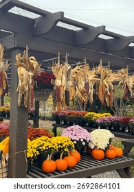 #PumpkinPatch #PumpkinSpiceEverything #JackOLantern #PumpkinObsessed #PumpkinDecor #FallDecor #CozyHome #HarvestDecor #RusticFall #FallInspiration
#PumpkinSpiceLatte #FallBaking #AutumnEats #CozyDrink