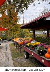#PumpkinPatch #PumpkinSpiceEverything #JackOLantern #PumpkinObsessed #PumpkinDecor #FallDecor #CozyHome #HarvestDecor #RusticFall #FallInspiration
#PumpkinSpiceLatte #FallBaking #AutumnEats #CozyDrink
