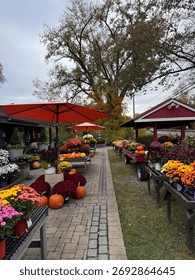 #PumpkinPatch #PumpkinSpiceEverything #JackOLantern #PumpkinObsessed #PumpkinDecor #FallDecor #CozyHome #HarvestDecor #RusticFall #FallInspiration
#PumpkinSpiceLatte #FallBaking #AutumnEats #CozyDrink