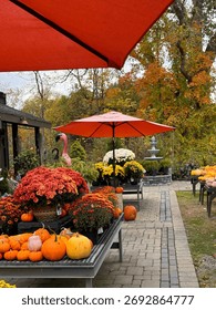 #PumpkinPatch #PumpkinSpiceEverything #JackOLantern #PumpkinObsessed #PumpkinDecor #FallDecor #CozyHome #HarvestDecor #RusticFall #FallInspiration
#PumpkinSpiceLatte #FallBaking #AutumnEats #CozyDrink