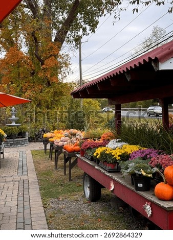 #PumpkinPatch #PumpkinSpiceEverything #JackOLantern #PumpkinObsessed #PumpkinDecor #FallDecor #CozyHome #HarvestDecor #RusticFall #FallInspiration
#PumpkinSpiceLatte #FallBaking #AutumnEats #CozyDrink