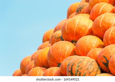 pumpkins
