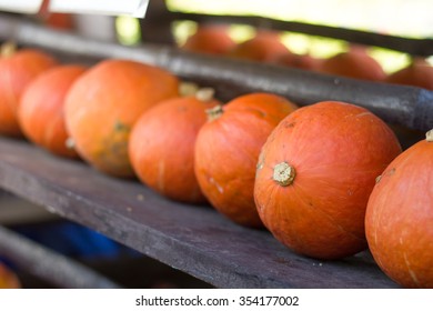 Pumpkins.