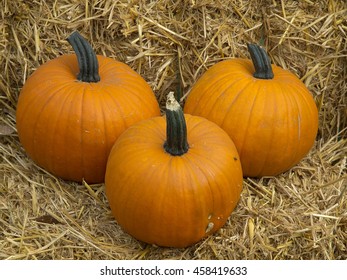 pumpkins