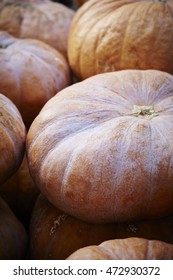 Pumpkins 