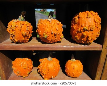 Pumpkins