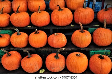 Pumpkins