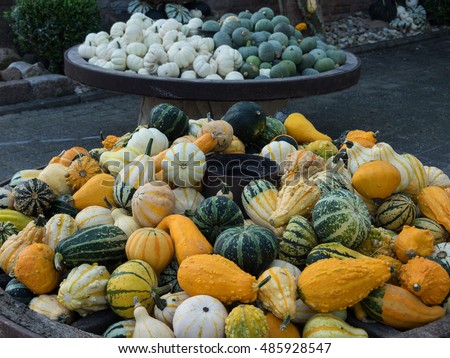 pumpkins