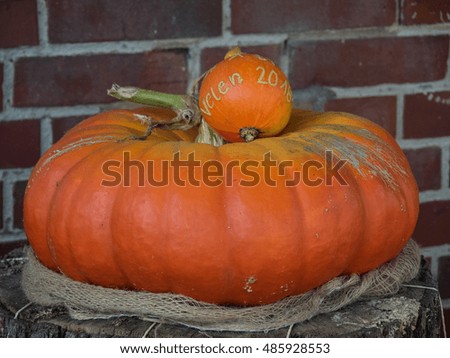 pumpkins