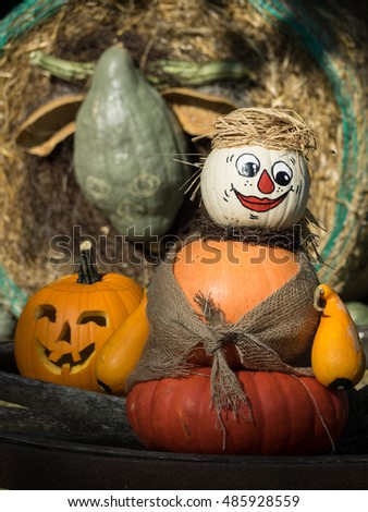 pumpkins